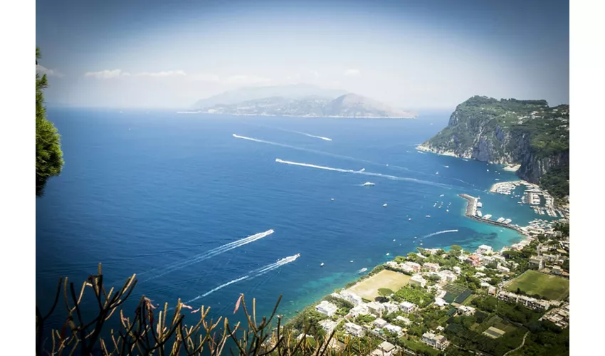 Isola di Capri con la Grotta Azzurra: escursione guidata di un giorno da Roma