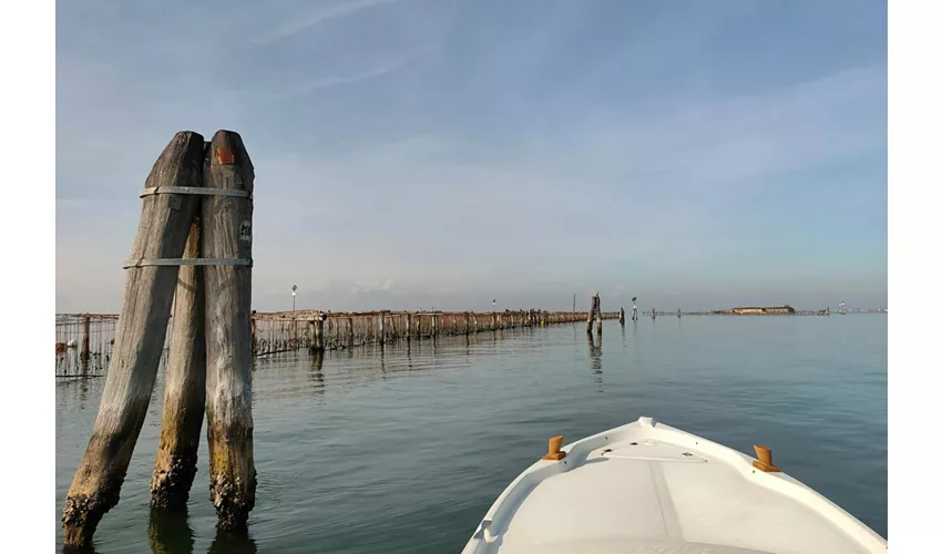 Pellestrina: Excursión guiada en barco por la laguna veneciana