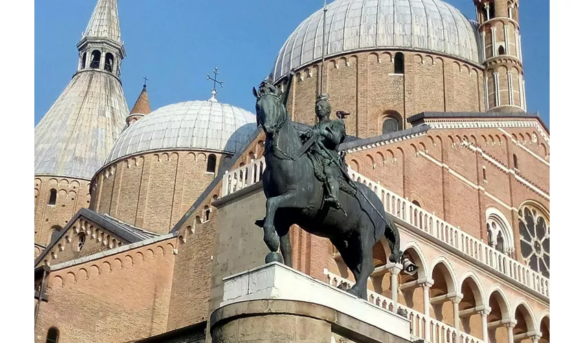 Padova: Visita guidata + Trasferimenti in treno da Venezia + Ingresso all'Orto Botanico