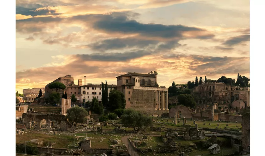 Tour guidato del Foro Romano + ingresso al Palatino e alla Domus romana