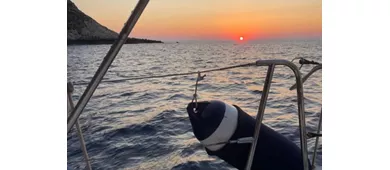 Palermo: Tour privato in barca a vela al tramonto + cena + vino