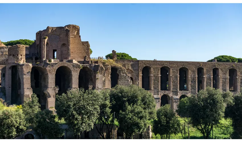 Colosseo, Arena, Foro Romano e Palatino + Tour guidato semi-privato