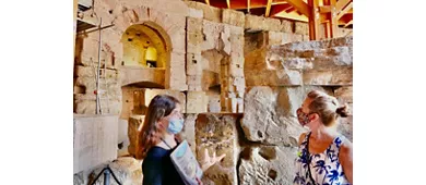 Coliseo, Arena, Foro Romano y monte Palatino + Tour guiado en grupo pequeño