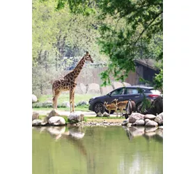 Parco Natura Viva: Open Date Ticket