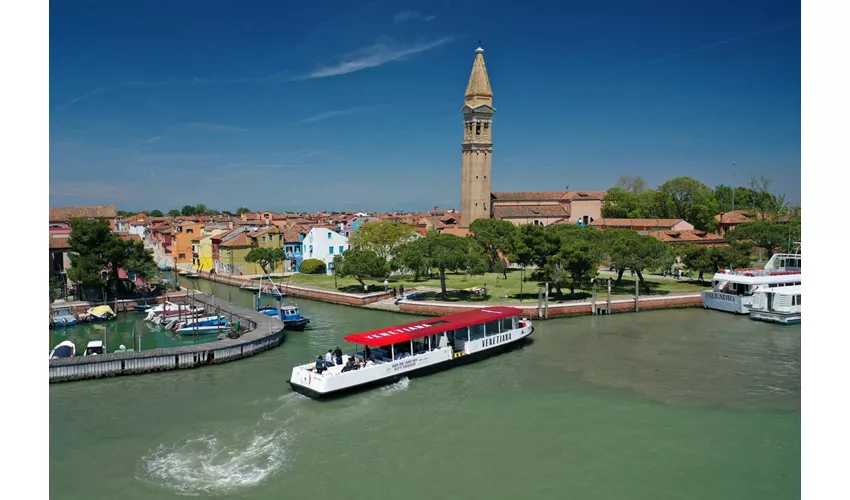 Murano, Burano & Torcello: 24-Hr or 48-Hr Hop-On Hop-Off Boat Tour