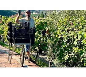 Cantina Fratelli Vogadori: Valpolicella-Weinverkostung