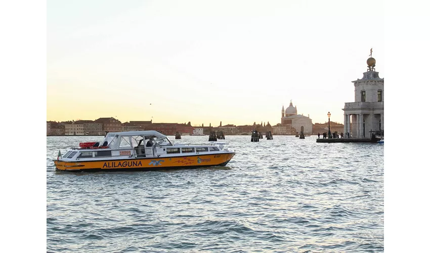 Venice: Alilaguna Boat Transfer to/from Marco Polo Airport and Venice