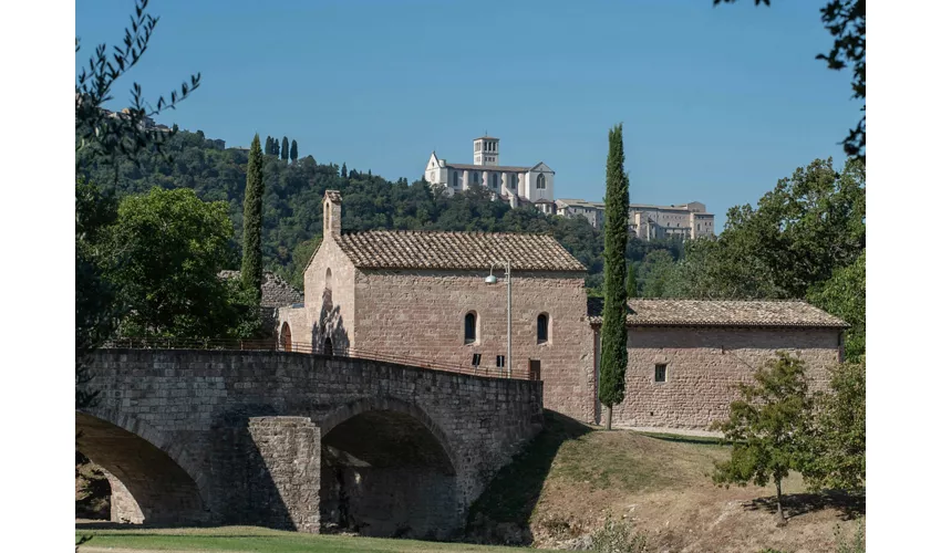 Bosco di San Francesco: Biglietto d'ingresso