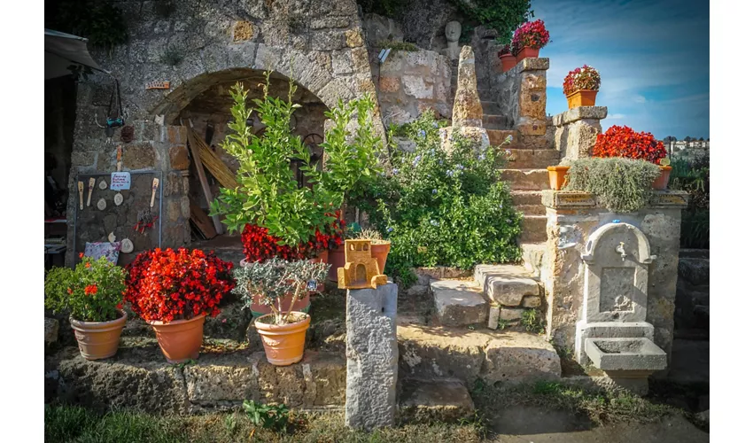 Civita di Bagnoregio, Montepulciano e Orvieto: Tour da Roma + Pranzo e Vino