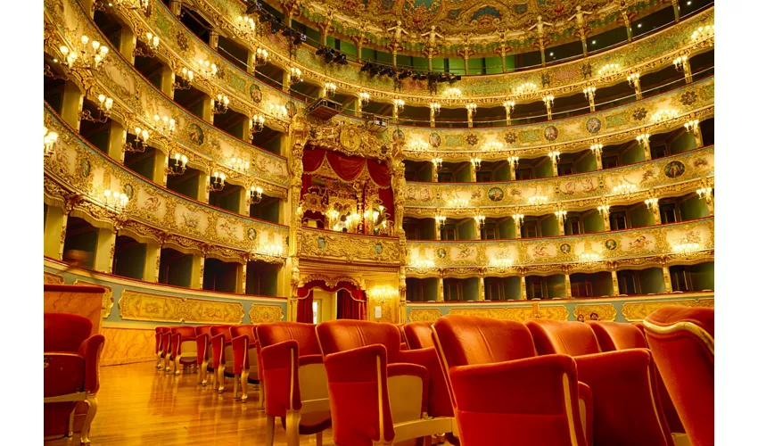 Teatro La Fenice: Salta la Coda + Audioguida