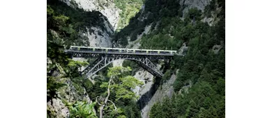 Interlaken y el Tren Verde de los Alpes Suizos: Excursión de un día desde Milán