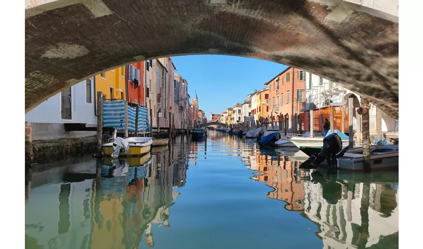 Chioggia: Guided Boat Tour