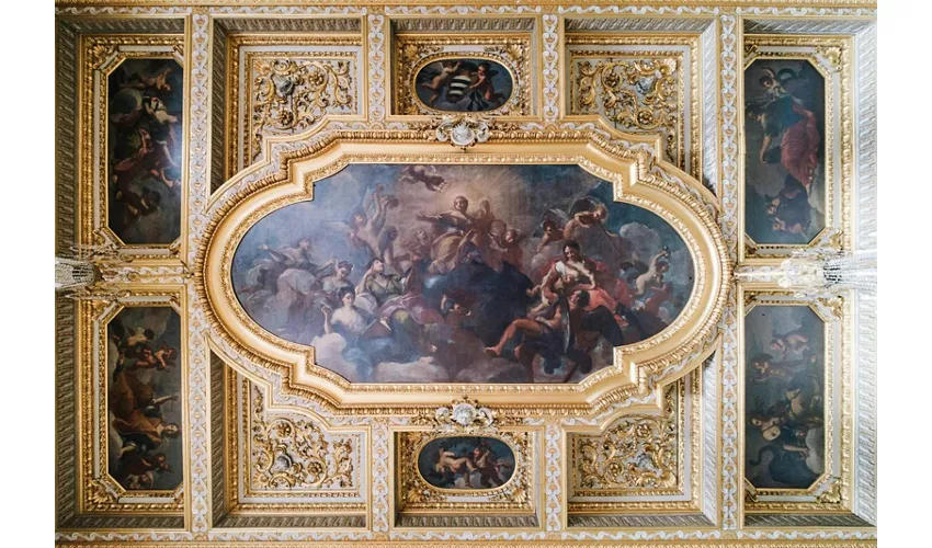 Palazzo Patrizi Montoro e Galleria Doria Pamphilj: Biglietti d'ingresso riservati