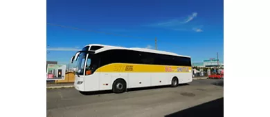 Roma: Bus navetta da/per l'aeroporto di Ciampino e il centro città