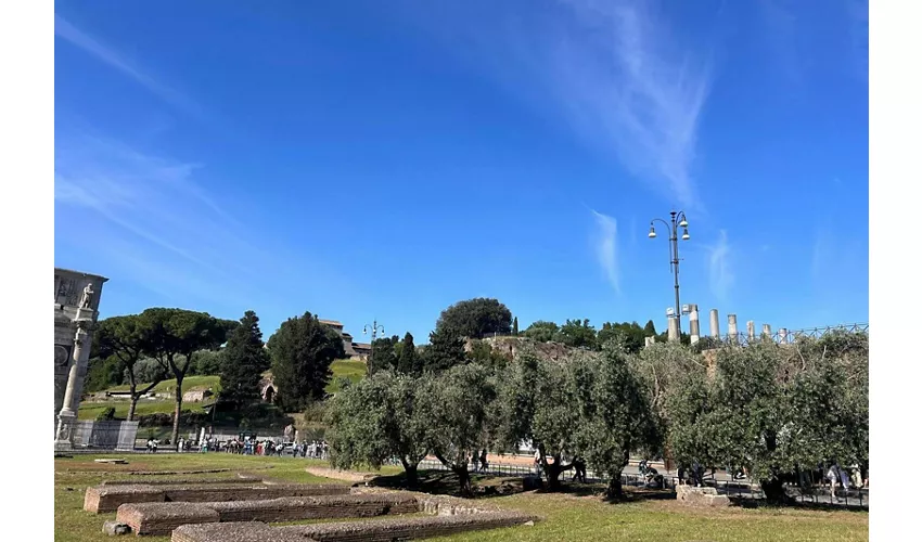 Colosseo, Foro Romano e Palatino + Audioguida digitale