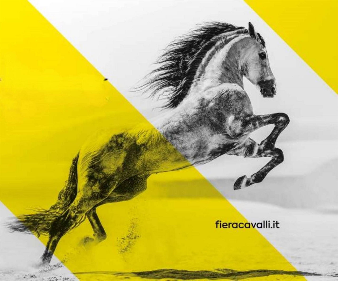 Fieracavalli