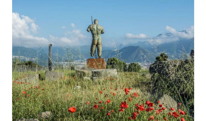 Pompei: Biglietto salta-coda + Treno ad alta velocità da Roma