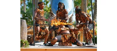 Caribe Bay: Open Date Ticket