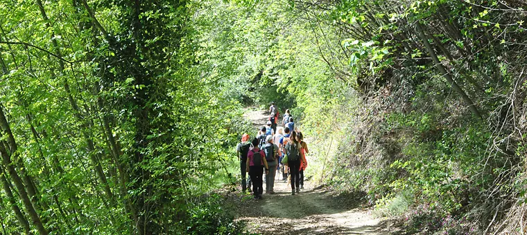 The Way of Saint Francis, the Way of Saint Benedict and the Lauretani Ways