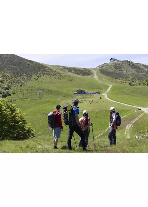 Il Cammino di Ermenegildo