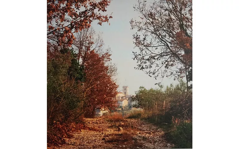 Il cammino delle Cone