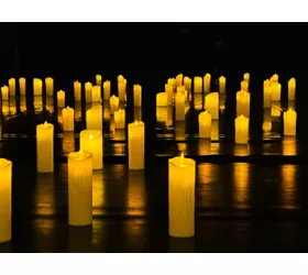 Candlelight: Tributo a Ennio Morricone – Roma, 25 gennaio 2026 