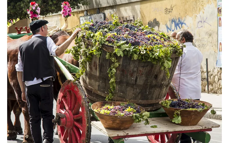 I matrimoni tradizionali: l'Antico Sposalizio Selargino e sa Coja Maurreddina