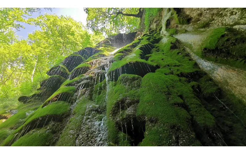 Cammino di Capo Rio e Grotta del Mano – Orma del Dinosauro