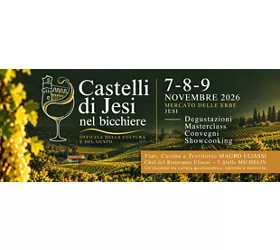 Castelli di Jesi nel bicchiere