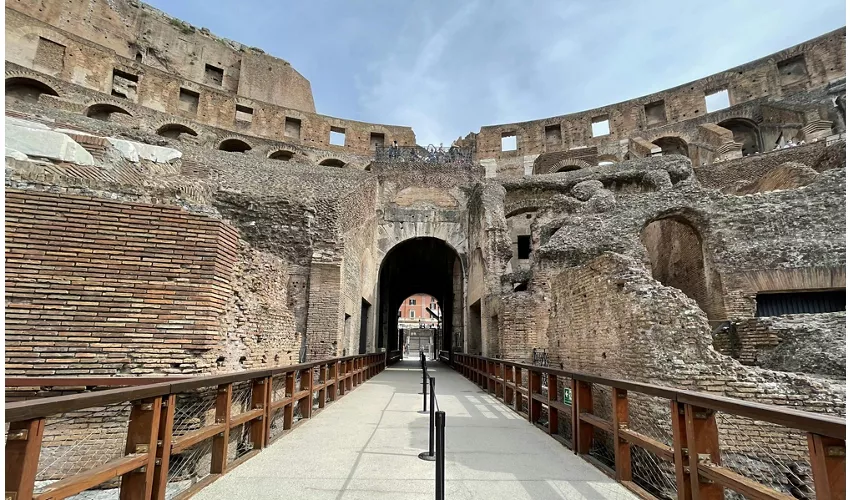 Colosseum, Arena, Underground, Forum & Palatine Hill + Guided Tour