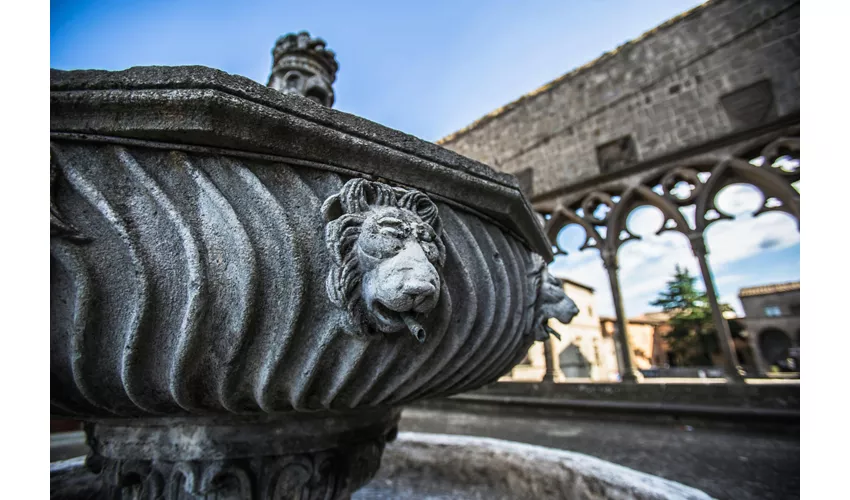 Salta la fila per il Palazzo dei Papi (Polo Monumentale Colle del Duomo)