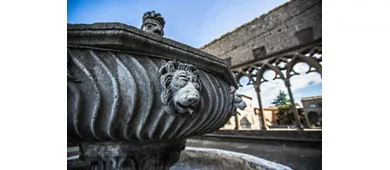 Saltar la línea del Palacio de los Papas (Polo Monumental Colle del Duomo)