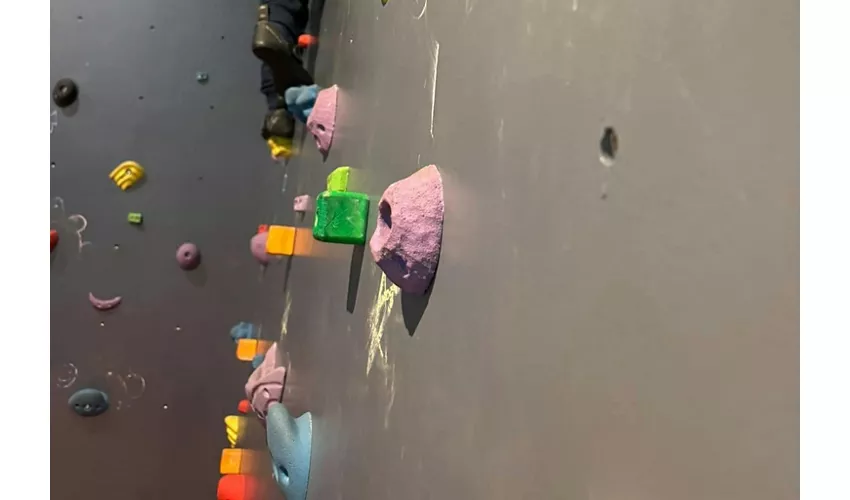 Museo MiniMupa: Biglietto salta-coda