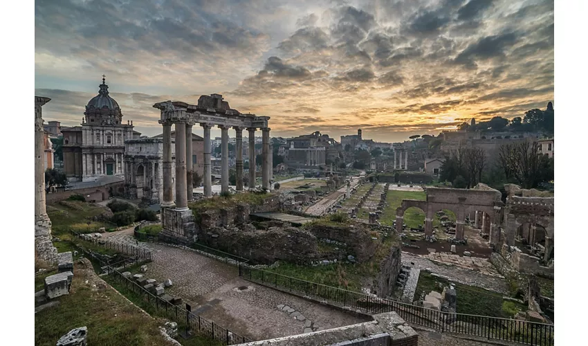 Colosseo, Foro Romano e Palatino + Tour a piedi della città