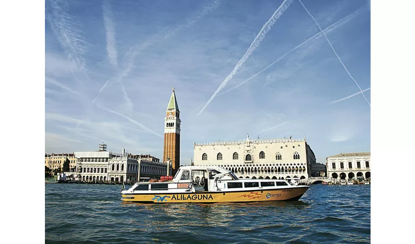 Venice: Alilaguna Boat Transfer to/from Marco Polo Airport and Venice