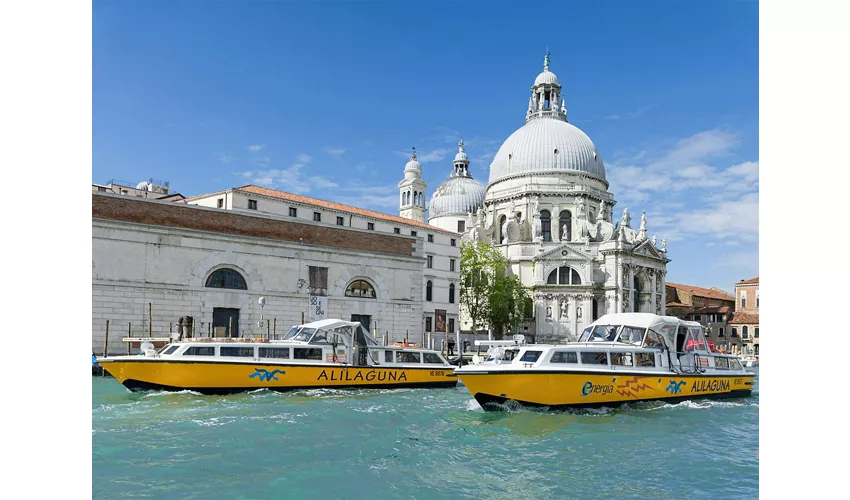 Venice: Alilaguna Boat Transfer to/from Marco Polo Airport and Venice