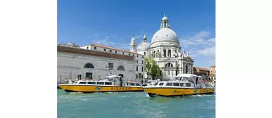 Venice: Alilaguna Boat Transfer to/from Marco Polo Airport and Venice