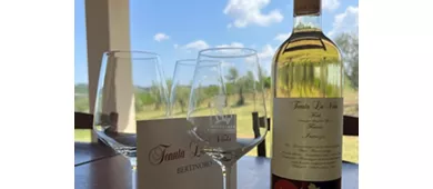 Tenuta La Viola: Visita guiada y cata de vinos