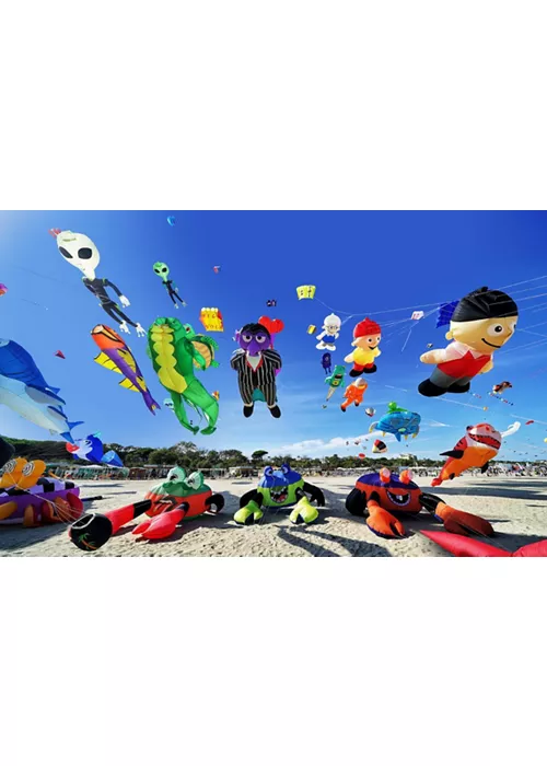 Artevento 2026 Festival Internazionale dell'Aquilone