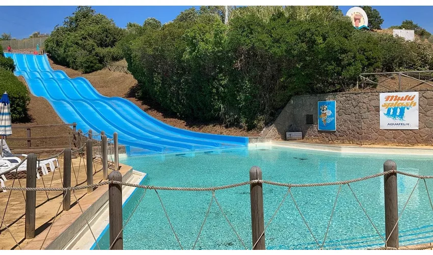 Aquafelix: Entry Ticket