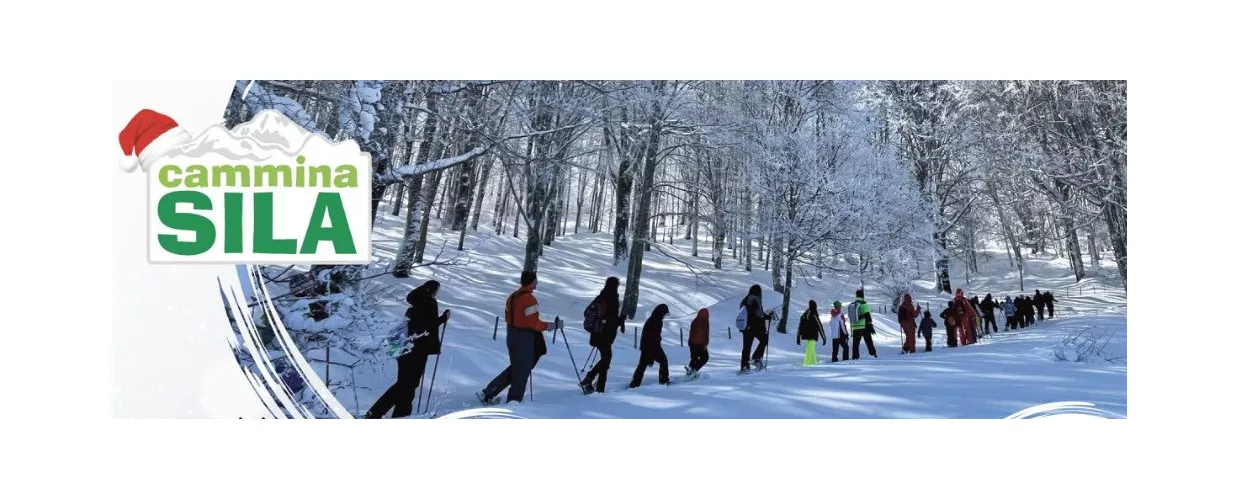 Snowshoeing during the holidays