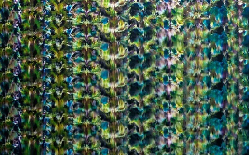 « Natura Naturans » Bologne