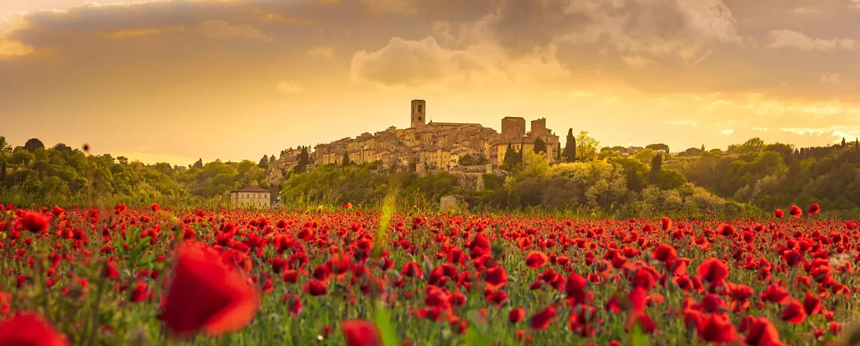Colle di Val d'Elsa