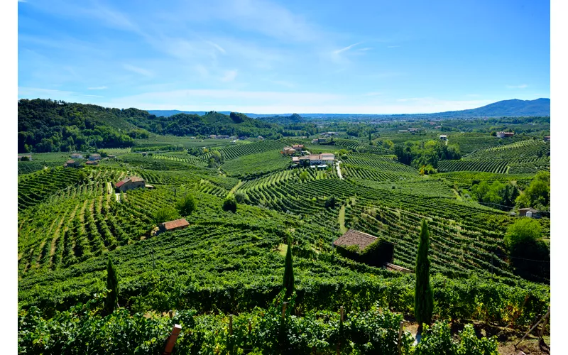 colline-prosecco.jpg