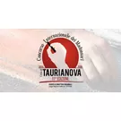 Concorso Internazione dei Madonnari 2026