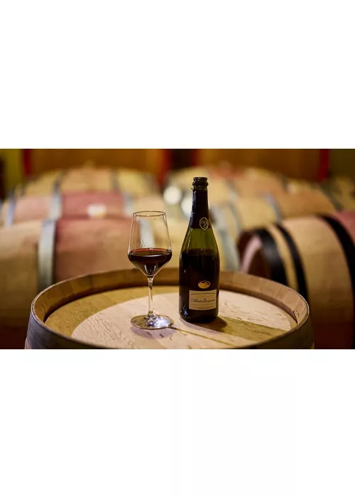  Vernaccia di Serrapetrona: a unique DOCG wine from the Marche