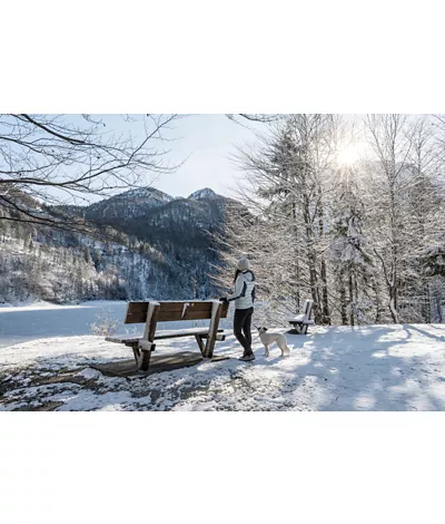 Al parco d’inverno, escursioni tra le Dolomiti friulane e le Prealpi Giulie