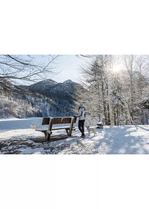 Al parco d’inverno, escursioni tra le Dolomiti friulane e le Prealpi Giulie