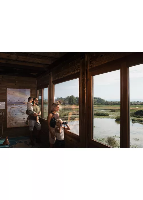 Historia, naturaleza e industria en el Alto Adriático