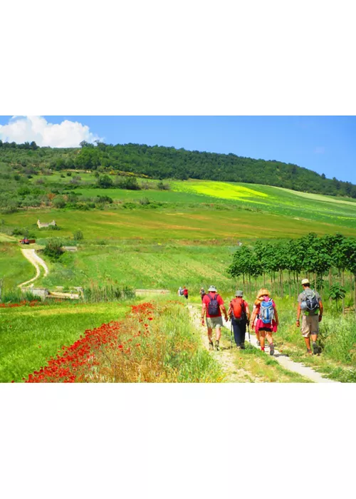 Via Peuceta del Cammino Materano